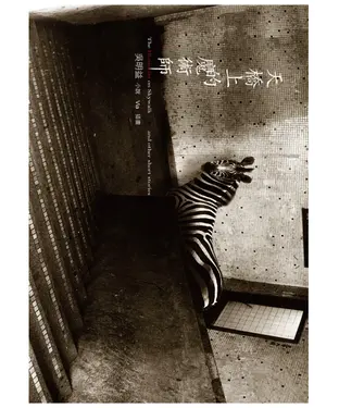 書封 天橋上的魔術師
